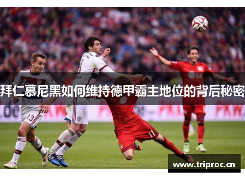 拜仁慕尼黑如何维持德甲霸主地位的背后秘密 拜仁慕尼黑如何维持德甲霸主地位的背后秘密