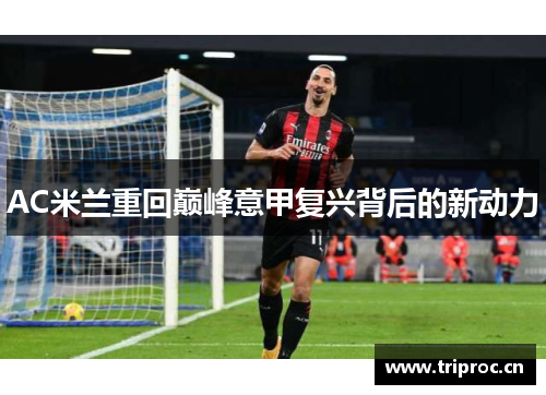 AC米兰重回巅峰意甲复兴背后的新动力