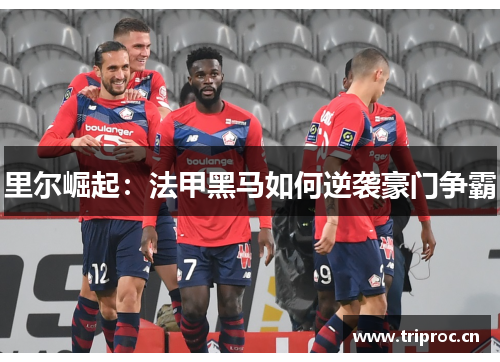 里尔崛起:法甲黑马如何逆袭豪门争霸 里尔崛起:法甲黑马如何逆袭豪门争霸