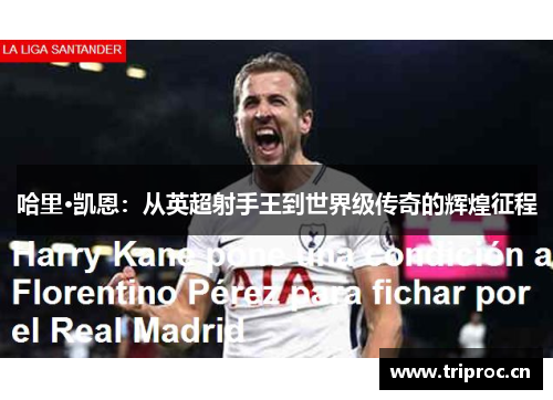 哈里·凯恩：从英超射手王到世界级传奇的辉煌征程