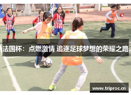 法国杯：点燃激情 追逐足球梦想的荣耀之路