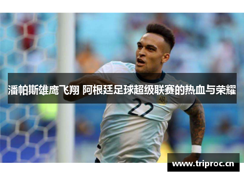 潘帕斯雄鹰飞翔 阿根廷足球超级联赛的热血与荣耀