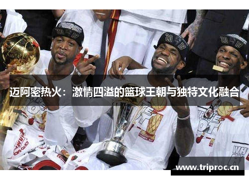 迈阿密热火：激情四溢的篮球王朝与独特文化融合