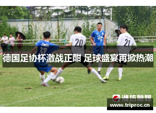 德国足协杯激战正酣 足球盛宴再掀热潮 德国足协杯激战正酣 足球盛宴再掀热潮