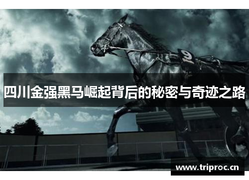 四川金强黑马崛起背后的秘密与奇迹之路 四川金强黑马崛起背后的秘密与奇迹之路