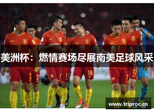 美洲杯:燃情赛场尽展南美足球风采 美洲杯:燃情赛场尽展南美足球风采
