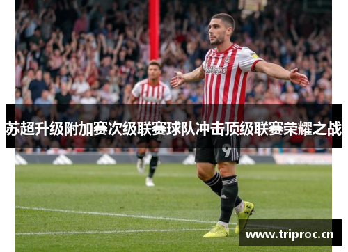 苏超升级附加赛次级联赛球队冲击顶级联赛荣耀之战