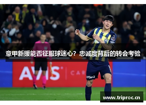 意甲新援能否征服球迷心?忠诚度背后的转会考验 意甲新援能否征服球迷心?忠诚度背后的转会考验