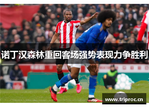 诺丁汉森林重回客场强势表现力争胜利 诺丁汉森林重回客场强势表现力争胜利
